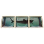 SUPREME シュプリーム 25SS ×Damien Hirst Rosenthal Tray (Set of 3) ダミアン ハースト ローゼンタール トレイ 皿 3枚セット ホワイト