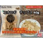 Yahoo! Yahoo!ショッピング(ヤフー ショッピング)BUG TIME　昆虫食　コオロギ　チップス 40g タンパク質　米油　美味しい おつまみ 珍味 罰ゲーム ドッキリ イタズラ サプライズ  インスタ映え