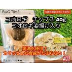 BUG TIME　昆虫食　コオロギ　チップス 40g (※コオロギ姿揚げ入り)　タンパク質 人気 おつまみ 珍味 罰ゲーム ドッキリ イタズラ サプライズ  インスタ映え