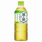 送料無料 葉の茶 ダイドー 525ml ペット 24本入