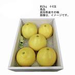 ショッピング文旦 送料無料 温室水晶文旦 高知 その他 約3kg 約5-7玉 秀品