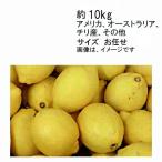 送料無料 輸入レモン (防ばい剤使用） アメリカ オーストラリア チリ産 その他 約10kg サイズお任せ