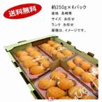 送料無料 予約 3月中旬-下旬発送 茂木びわ 長崎県産 約250g×4パック サイズ L/2L 秀品