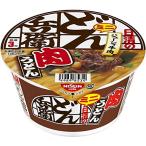 日清のどん兵衛 肉うどんミニ 40g×12個