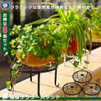 3個セット高品質の花台 猫脚付鉢置き アイアンフラワースタンド 植木鉢スタンド プレート 飾り台 ガーデニング アンティーク 室内 屋外 おしゃれ3-CATFOT