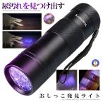 12LED ультрафиолетовые лучи черный свет UV свет ультрафиолетовые лучи свет resin для лечение свет глаз - видно нет загрязнения . меры .u il s меры маленький размер домашнее животное 12BLACKLL