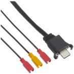  Daytona (Daytona) для мотоцикла in cam DT-E1 для ремонт товар Type-C динамик cave 