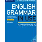 English Grammar in Use 5th edition Book without answers