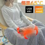 電気毛布 掛け敷き 65℃ USB給電式 丸洗い ポケット付き 電気ひざ掛け 膝掛け 電気ブランケット 柔らかい 寒さ対策グッズ  車内用 旅行出張 職場用 PSE認証済
