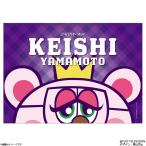 ぽかぽか×SHOW-WA ブランケット(