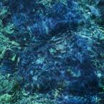 青葉市子　Luminescent Creatures＜初回限定盤/カラー盤＞　アナログ　レコード【新品未開封】【キャンセル不可商品】Nsenme-1K