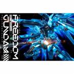FREEDOM ［CD+オリジナルガンプラ］＜完全生産限定盤＞ 西川貴教 with t.komuro 【新品未開封】【キャンセル不可商品】