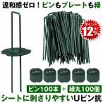 �h���V�[�g �s�� U�s���Y �Ίەt U���s�� �Œ�s�� �� �����V�[�g 15cm 100�{ �h�����[�� �h�����V�[�g �h�������[�� �Œ�p �Œ� �l�H�� �������s�� �������s��