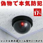  муляж черепаха Rado m type камера системы безопасности поддельный мониторинг камера мигает LED тип аккумулятора подлинный товар целиком закрытый наружный соответствует вход склад гараж веранда магазин апартаменты предотвращение преступления меры 