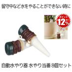 24 шт. комплект полив автоматика автоматика полив контейнер декоративное растение полив машина автоматика водоснабжение колпак полив данный номер автоматика поилка лейка автоматика разбрызгивание воды машина садоводство растения садоводство 