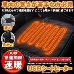 USB ヒーター 車 ホットカーシート シートヒーター 後付け 車用 デスク オフィス ヒータークッション 車中泊 極暖 運転席 助手席 家 会社 電熱 USB 電気マット