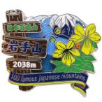 日本百名山 ピンバッジ 2段 ピンズ 岩手山 エイコー コレクションケース入り トレッキング 登山 グッズ 通販  シネマコレクション