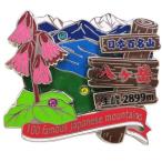 日本百名山 ピンバッジ 2段 ピンズ 八ヶ岳 エイコー コレクションケース入り トレッキング 登山 グッズ 通販  シネマコレクション