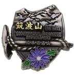 日本百名山 ピンバッジ イブシピンズ 筑波山 エイコー コレクションケース入り トレッキング 登山 グッズ 通販  シネマコレクション