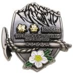日本百名山 ピンバッジ イブシピンズ 剱岳 エイコー コレクションケース入り トレッキング 登山 グッズ 通販  シネマコレクション