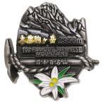 日本百名山 ピンバッジ イブシピンズ 木曽駒ヶ岳 エイコー コレクションケース入り トレッキング 登山 グッズ 通販  シネマコレクション