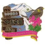 日本百名山 ピンバッジ 1段 ピンズ 五竜岳 エイコー コレクションケース入り トレッキング 登山 グッズ 通販  シネマコレクション