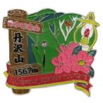 日本百名山 ピンバッジ 1段 ピンズ 丹沢山 エイコー コレクションケース入り トレッキング 登山 グッズ 通販  シネマコレクション