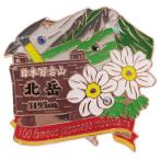 日本百名山 ピンバッジ 1段 ピンズ 北岳 エイコー コレクションケース入り トレッキング 登山 グッズ 通販  シネマコレクション