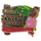 日本百名山 ピンバッジ 1段 ピンズ 大台ケ原山 エイコー コレクションケース入り トレッキング 登山 グッズ 通販  シネマコレクション