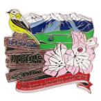 日本百名山 ピンバッジ 1段 ピンズ 那須岳 エイコー コレクションケース入り トレッキング 登山 グッズ 通販  シネマコレクション