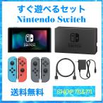 任天堂 Nintendo Switch ニンテンドースイッチ 本体 Joy-Con (L)/（R)グレー 旧型 すぐ遊べるセット 中古