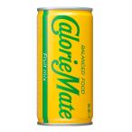 ショッピングカロリーメイト カロリーメイト 大塚製薬 カロリーメイト リキッド フルーツミックス味 200ml ×30本