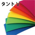 【10パックまでクリックポスト可】タント 紙　A4 パック　Vivid（ヴィヴィッド）5枚入 いろがみ 色画用紙