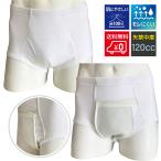 尿漏れパンツ 男性 メンズ ブリーフ 中失禁 ポイント消化 送料無料 500
