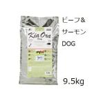 Kia Ora キアオラ ドッグフードグラスフェッド ビーフ＆サーモン 9.5kg +60gx8袋
