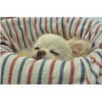 Landy Larick Designs Mogg Bed 専用カバー　Garze Cover L