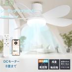  потолочный вентилятор потолочный вентилятор свет LED style свет тонировка с дистанционным пультом DC motor тихий звук экономия энергии модный кондиционер с нагревом и охлаждением двоякое применение правильный обратное вращение с вентилятором освещение правильный обратное вращение переключатель 