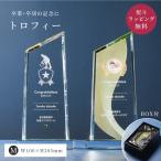  Trophy средний шт. форма M размер .... индустрия награждение WCR-37C crystal Trophy название inserting память Trophy Event мероприятие презентация ... часть праздник .. высококлассный 