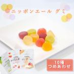 お菓子 ギフト 詰め合わせ 全農ニッポンエールグミ 人気 10種 グミ スイーツ ポイント利用