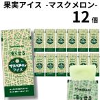 果実アイス マスクメロン シャーベット 詰め合わせ 送料無料 ジェラート ポイント利用