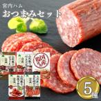 おつまみ ギフト セット 宮内ハム 5種セット サラミ ポイント利用