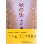  осенний улица средний . библиотека .13-1