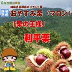 【保冷熟成】岐阜県えな笠置山栗園の甘和栗「おやすみ栗（マロン）利平栗」2L 1kg 【国産恵那栗・無燻蒸・生栗】【クール便】