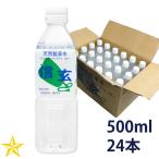 ミネラルウォーター 山梨県 下部温泉 天然鉱泉水 信玄 500ml ペットボトル 24本 源泉館