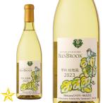 山梨ワイン 白ワイン 甲州 やや辛口 N