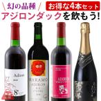 幻の品種アジロンダックを飲もう！ アジロン 赤ワイン 4本セット ニュー山梨ワイン 原茂ワイン 東夢ワイナリー アルプスワイン