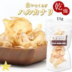  белый иудино ухо сухой Hal kana li1 упаковка 11g Yamanashi префектура производство with выше 