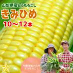 とうもろこし きみひめ 10〜12本 旬果市場 山梨県産 甲府 スイートコーン 最大糖度19度 生で食べられる