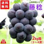 ぶどう 藤稔 山梨県産 送料無料 農家直送 種なしブドウ 大粒品種 藤稔(ふじみのり) 2kg箱 (3〜4房)