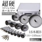 16本セットB:16mm 〜 100mm 現役電気工事士・大工推薦 超硬 ホールソーセット ステンレス 木工 鉄鋼用 対応 電工 高級アタッシュケース付